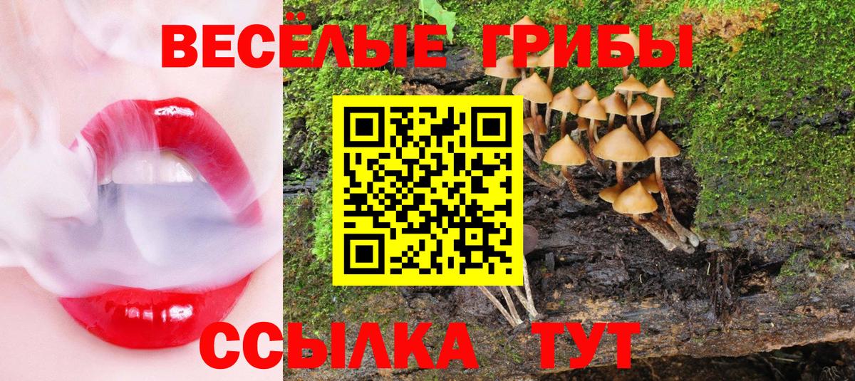 Кингисепп  Псилоцибиновые грибы Magic Shrooms  Вход с VPN  Псилоцибиновые грибы Magic Shrooms 