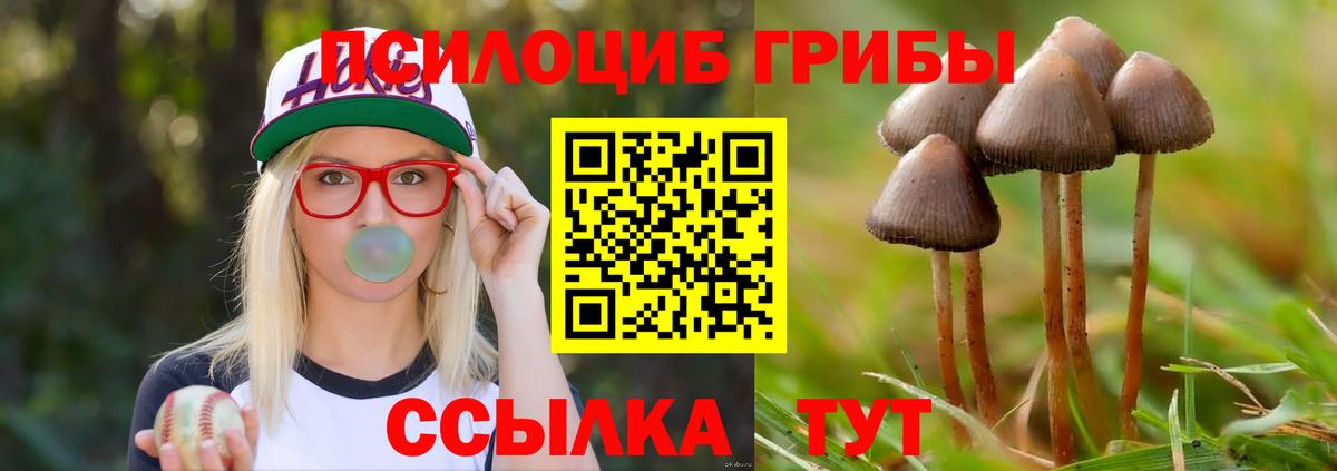 Псилоцибиновые грибы мицелий Кингисепп